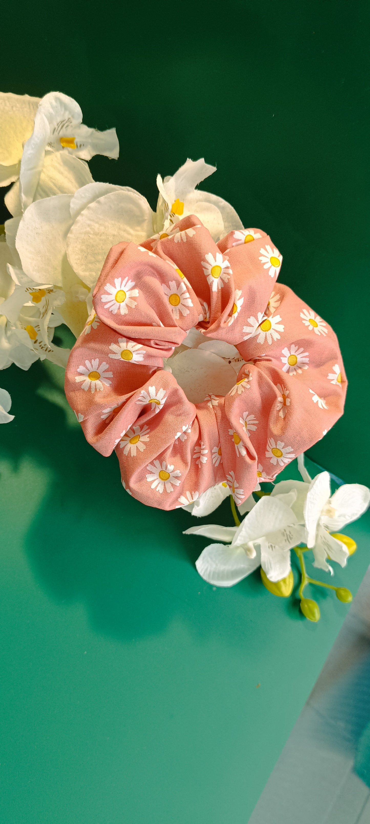 Chouchou pâquerette
