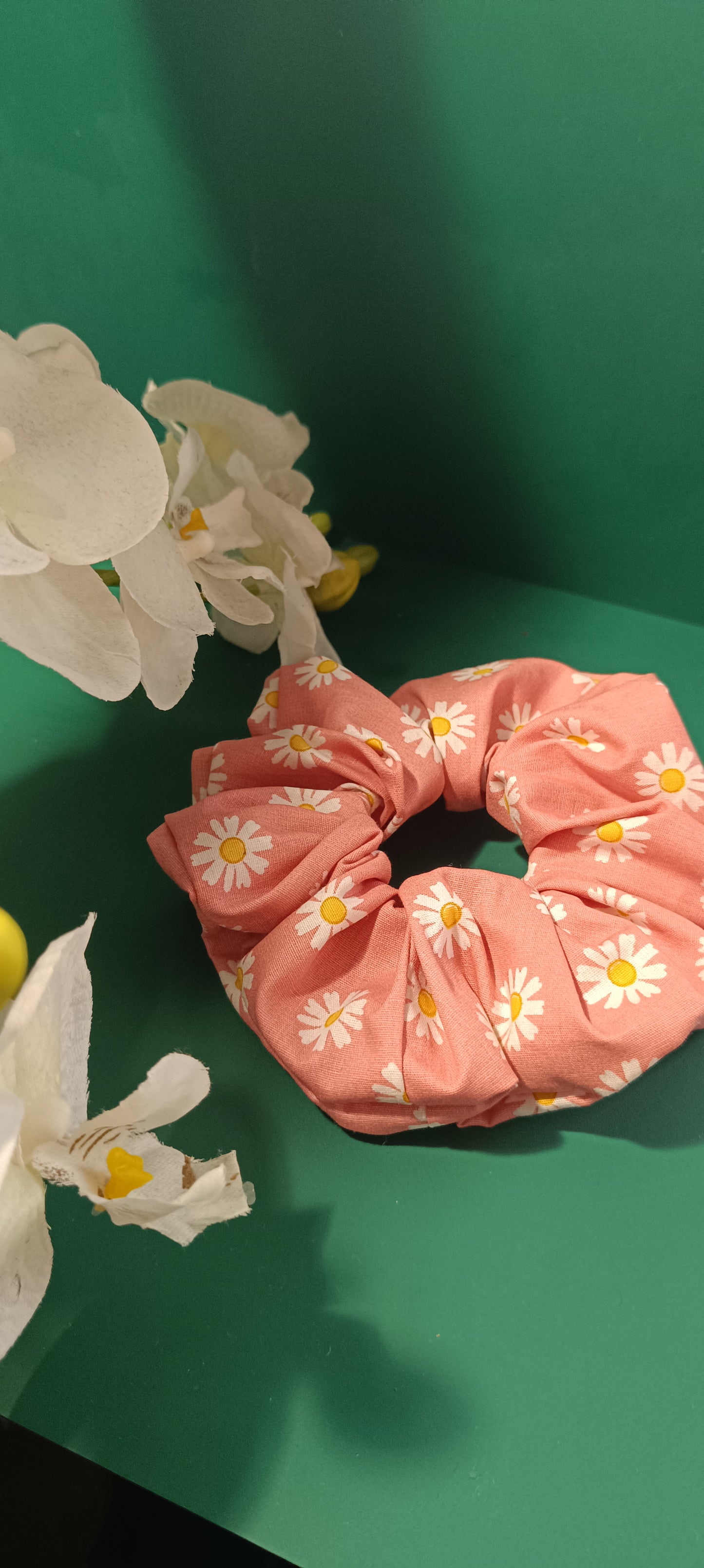 Chouchou pâquerette