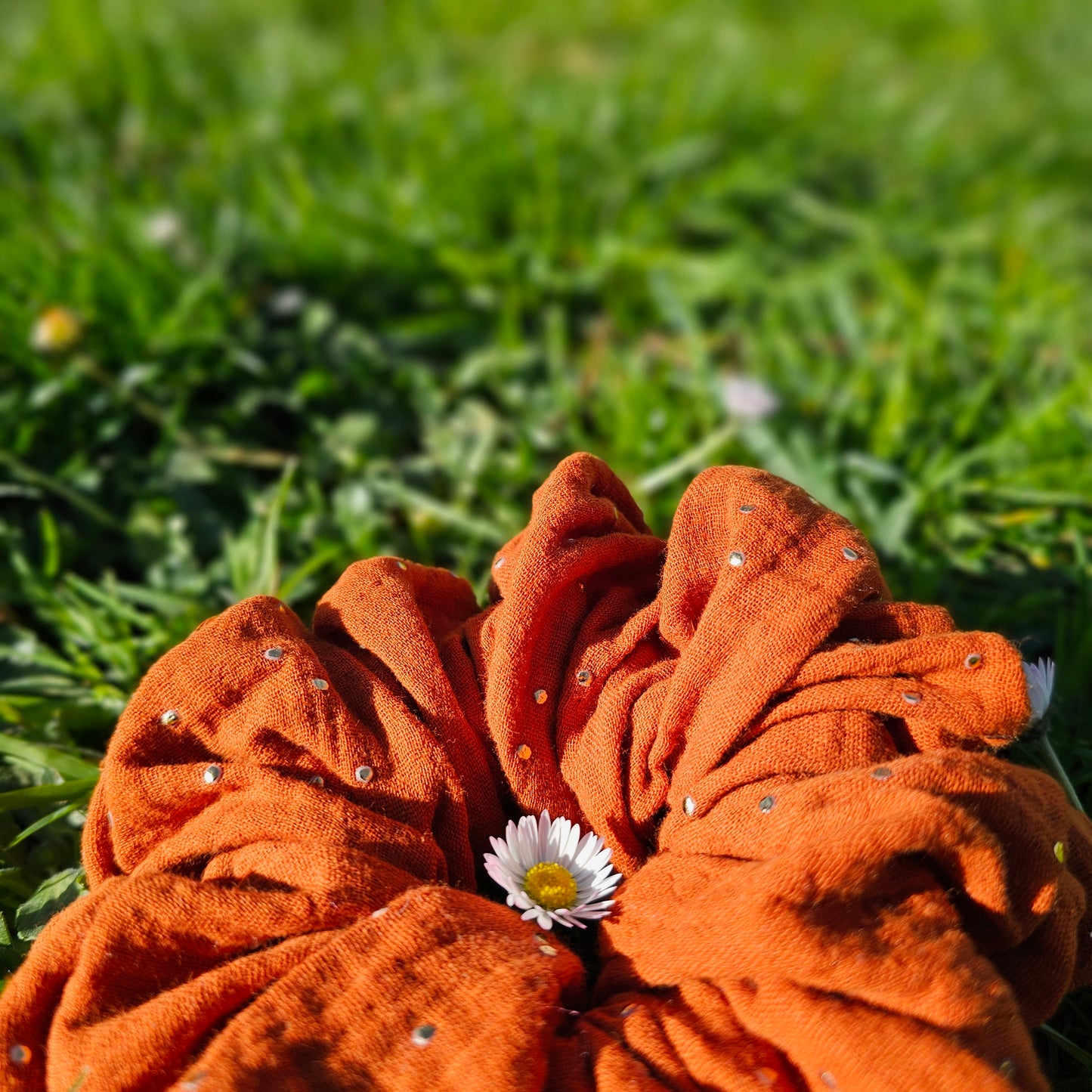 Chouchou printemps
