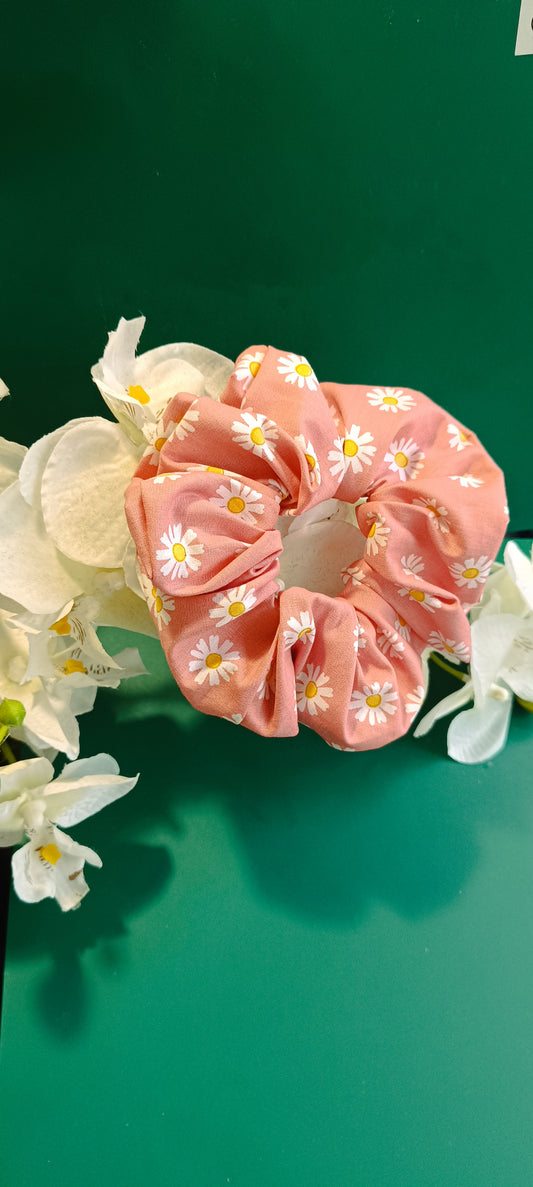 Chouchou pâquerette